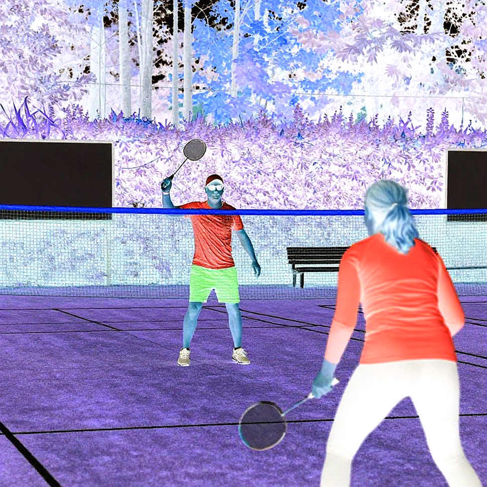 Vietnamese Badminton: A Data Audit Ten Years On